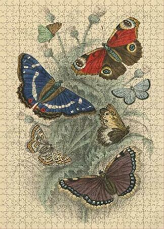 John Derian  Dancing Butterflies
