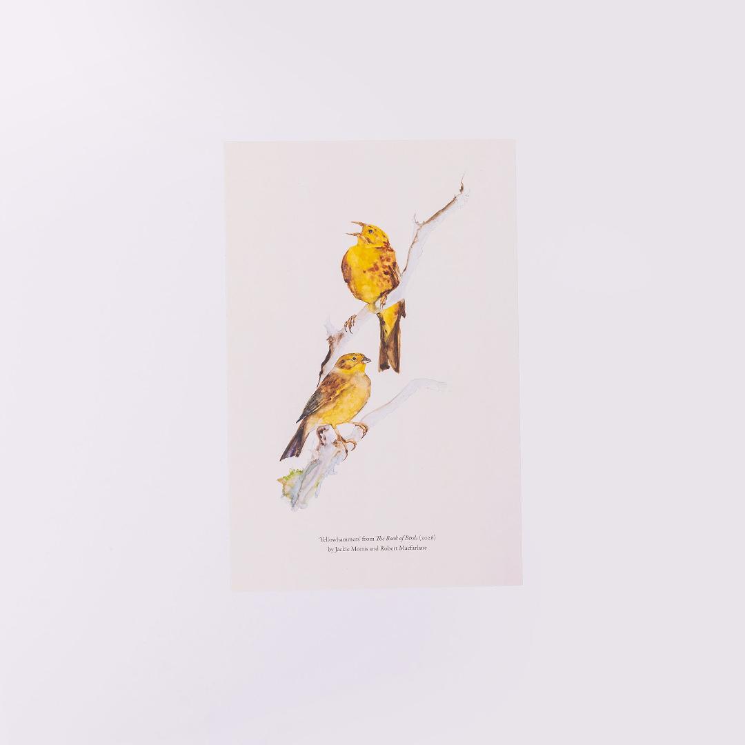 Book Of Birds - Image 2